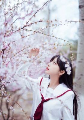 国色芳华电视剧免费看